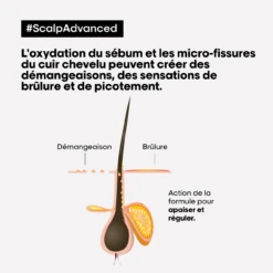 Shampooing Anti-Inconfort Scalp Advanced L'Oréal 1500ml -Produits Pour Les Cheveux scalp adavanced antiinconfort 17500.1684847770