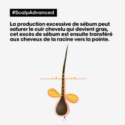 Argile 2-en-1 Purifiante Anti Gras Scalp Advanced L'Oréal 500ml -Produits Pour Les Cheveux scalp advanced anti gras se bum 94024.1684847776